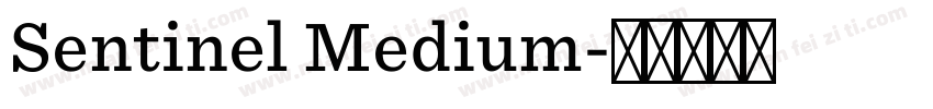 Sentinel Medium字体转换